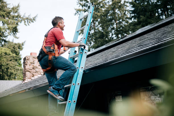 Best Green or Eco-Friendly Roofing Solutions  in Lowes Island, VA